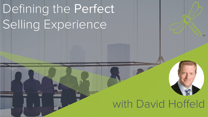 Perfect-Selling-Experience-David-Hoffeld-01-1-1