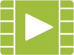 videoIcon