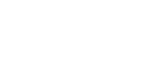 DirttLogo