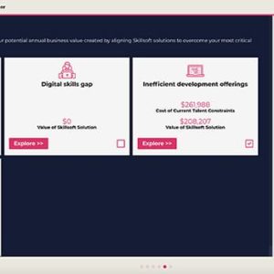 Skillsoft-DLVE